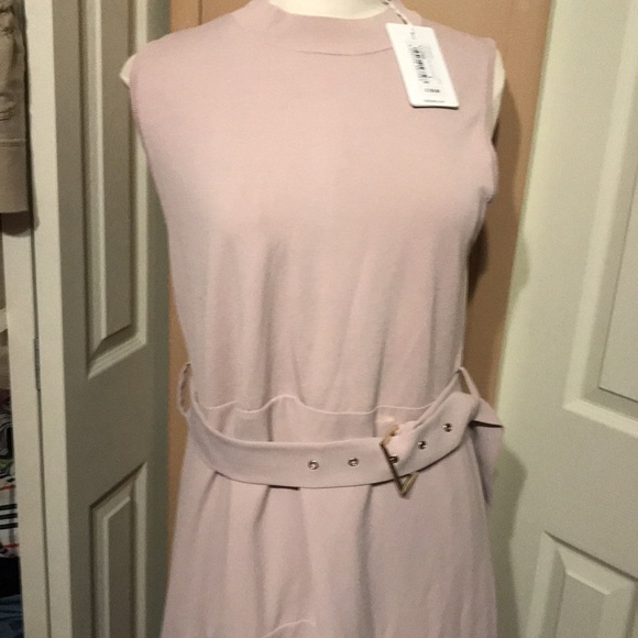 New Ted Baker Light Pink MIDI Dress… size 5 - Picture 2 of 8